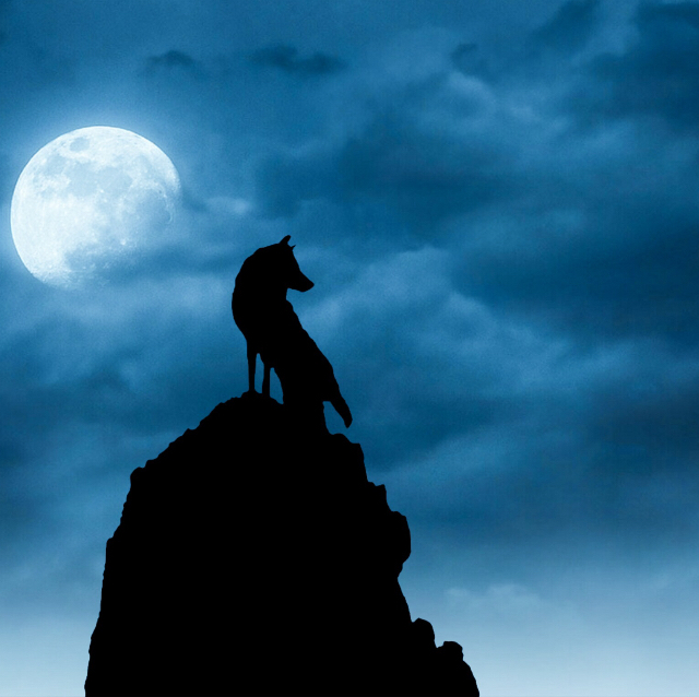 Full Moon’s Calling